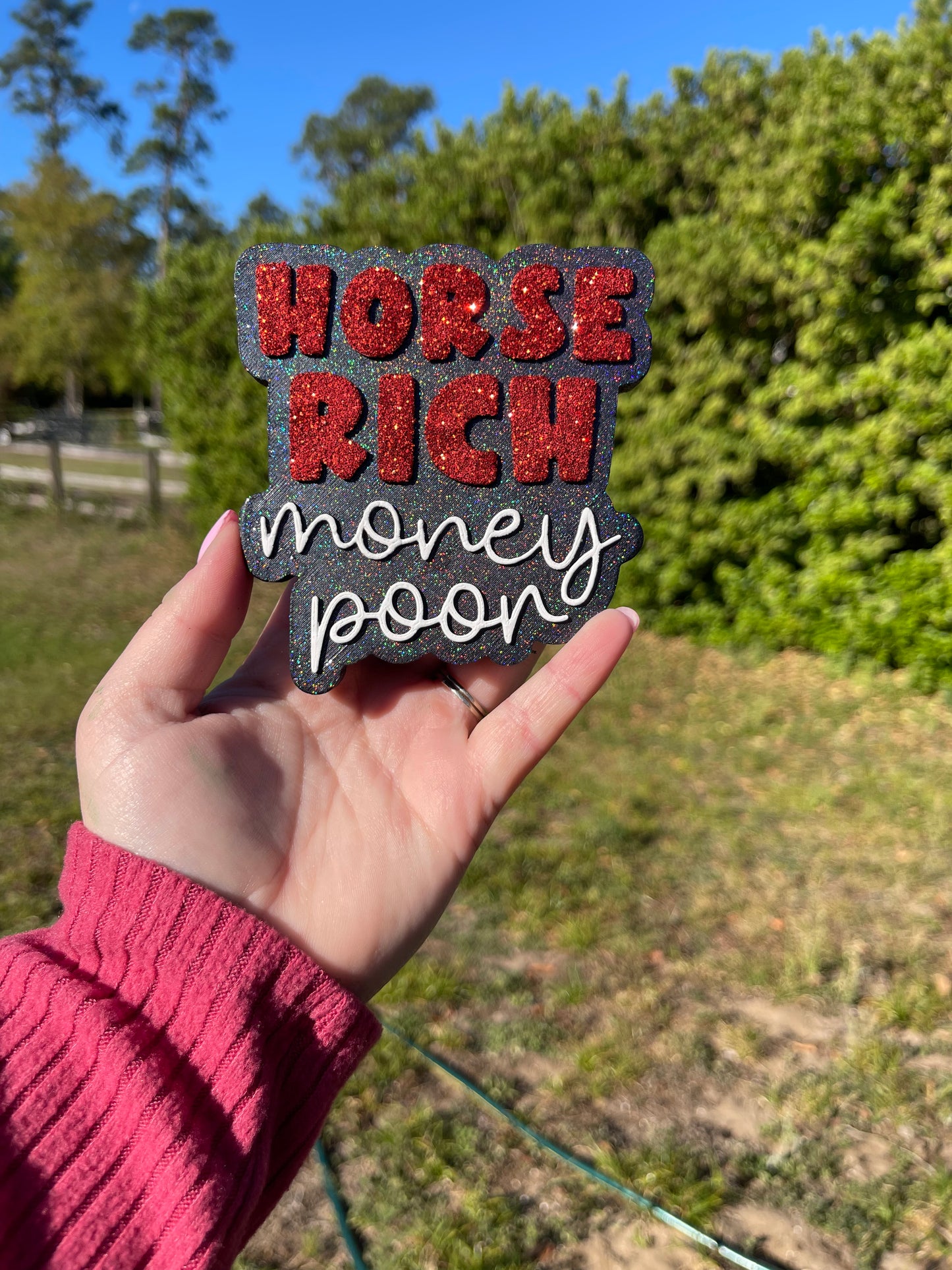 Horse Rich Money Poor
