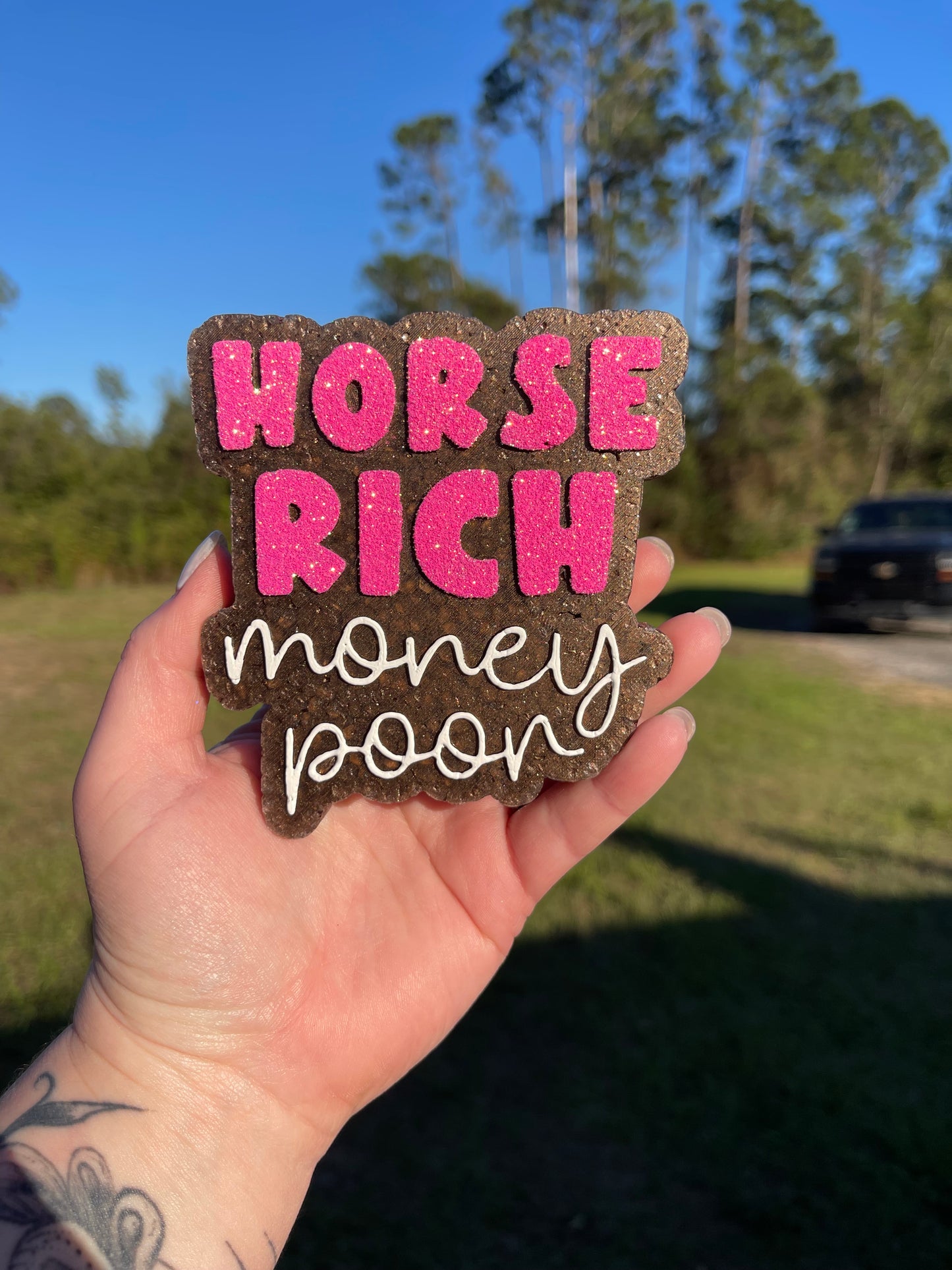 Horse Rich Money Poor