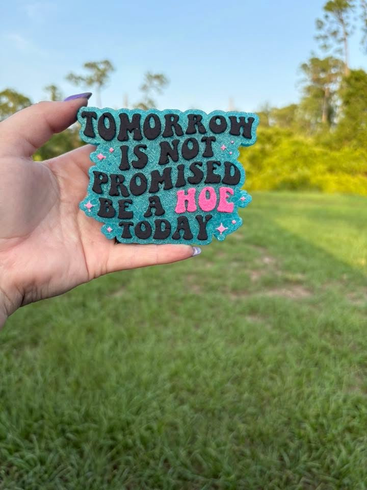 Be A Hoe Today